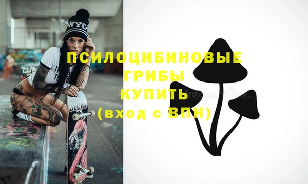 крисы Володарск