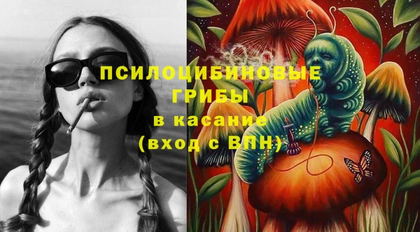гашик Волосово