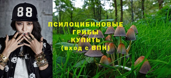 крисы Володарск