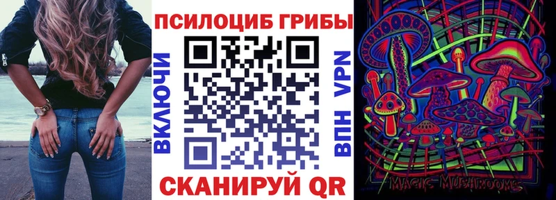 Псилоцибиновые грибы мицелий  Купить где  Сясьстрой 